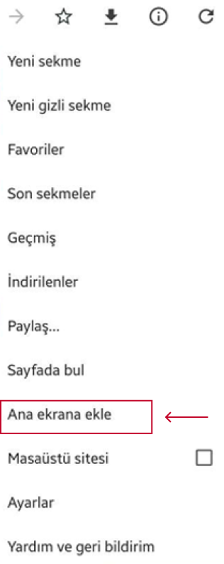 Ana Ekrana Ekle ekran görüntüsü